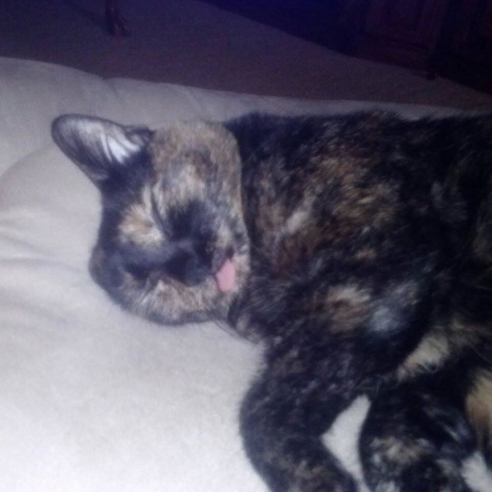 Meet your Posher, Brenda